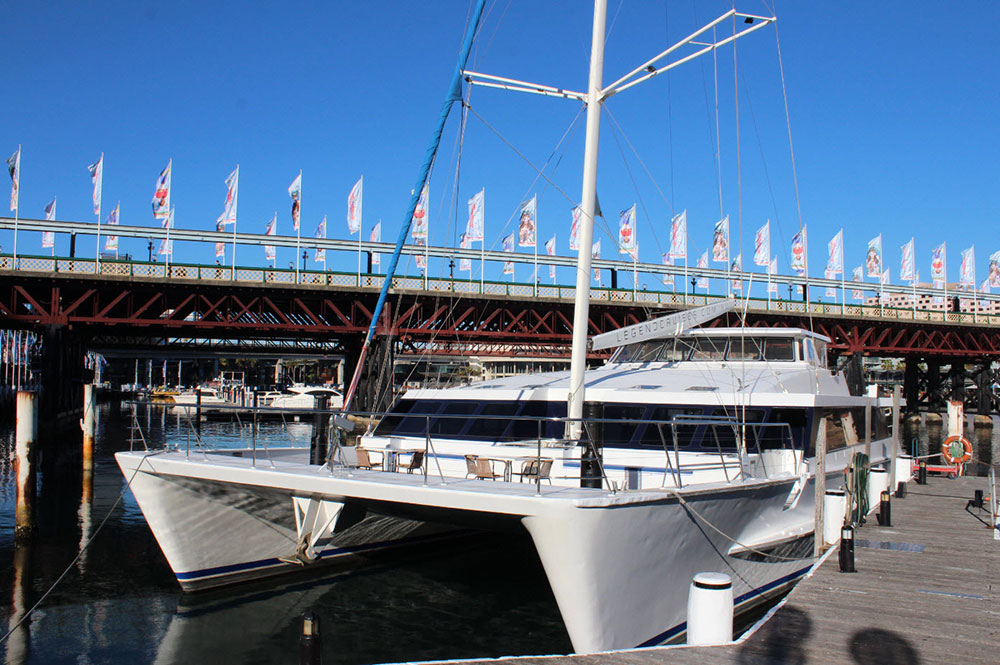 Sydney Harbour cruise photo
